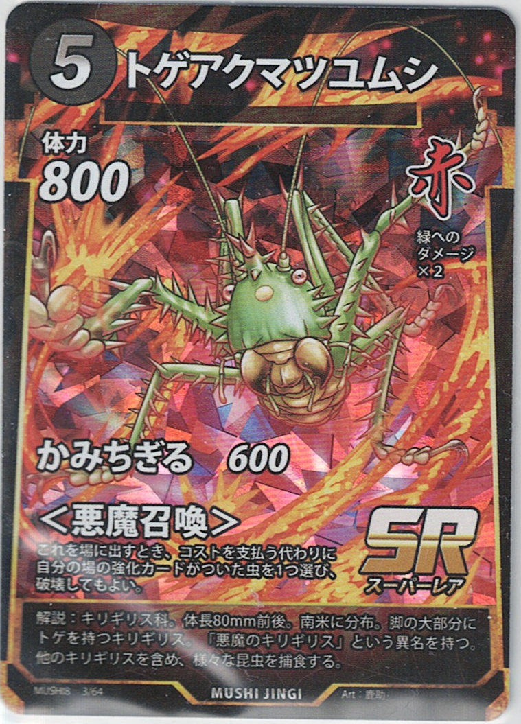 MUSHI8-003 SR トゲアクマツユムシ